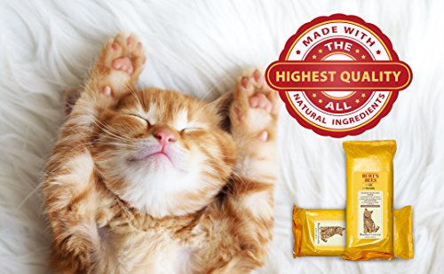 4 Burts+Bees+Cats+All+Natural+Reducing