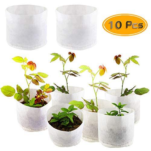 PRALB 10 PCS Plant Grow Bags Non-Woven Plant Fabric Pots with Handles (8″ x 6″)