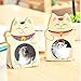200 Pcs Realistic Cute Cat Stickers Kitten Roll Sticker for School