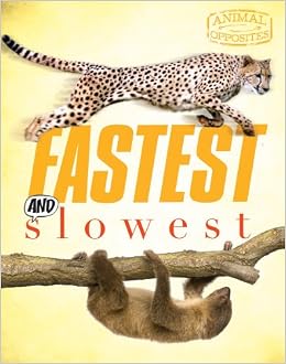 Fastest And Slowest Animal Opposites Camilla Bedoyere - 