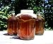 Cornucopia Brands 1-Gallon Glass Kombucha Jars w/Cotton Cloth Covers & Plastic Lids for Storage after Brewing (2-Pack)