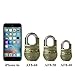 Mindy Heavy Duty Padlock with Keys Unique Style Special Chains Lock,1-Pack High Security Padlock, AF8-50