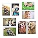 Flexible Magnets Magnetic Photo Picture Frames - White Magnetic Photo Pockets - Holds 4x6 Photos (10)