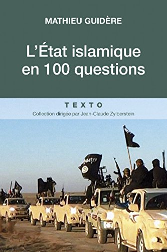 L'État islamique en 100 questions (French Edition) by Mathieu Guidère
