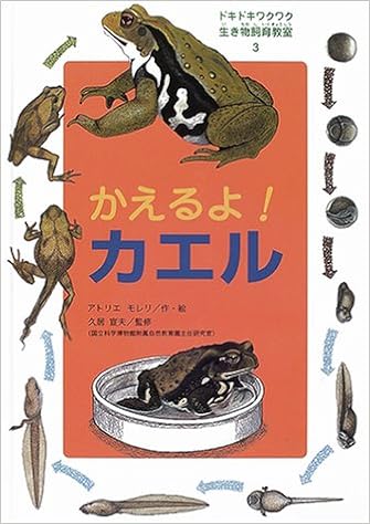 ドキドキワクワク生き物飼育教室 3 アトリエモレリ 宣夫 久居 本 通販 Amazon