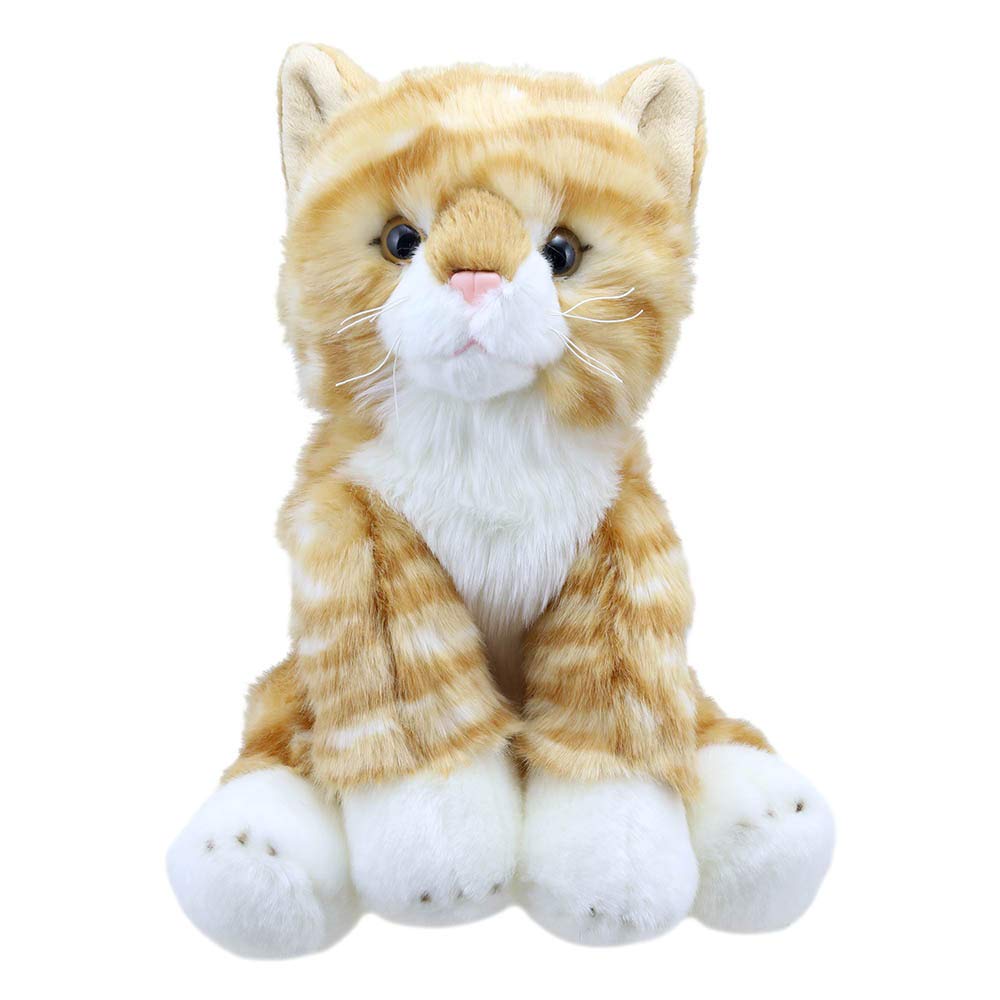 Wilberry The Puppet Company Ginger Cat Soft Toy - Favourites Collection, Adorable Plush Toy for Children, Cuddly Toy for Kids, Suitable for Ages 12 Months and Above - Gift-Ready