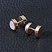 ZS Rose Gold Men Women Stainless Steel Cheater Ear Plugs Gauges Illusion Tunnel Earring Studs (Black)