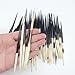 PEPPERLONELY 10PC South Africa Porcupine Quills (4 Inch ~ 6 Inch)