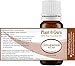 Cedarwood (Atlas) Essential Oil 10 ml 100% Pure Undiluted Therapeutic Grade for Skin, Body and Hair Growth. Great for Aromatherapy Diffuser and DIY Soap Making