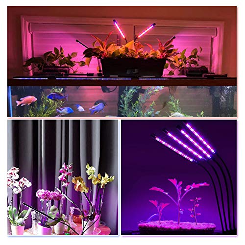 【New Upgrade】LED Grow Light,Kavai 4-Head LED Grow Light with Tripod Stand for Indoor Plants,80 LED Full Spectrum Floor Grow Lamp with remote Controller, 8 Dimmable Levels,4/8/12H Timer (Tripod Adjustable 11-70 inch)