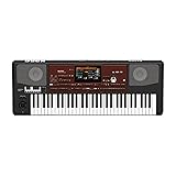 Korg Pa700 Oriental Professional Arranger 61-Key