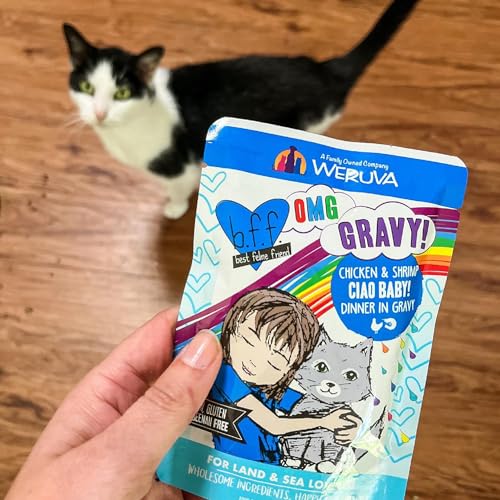 WERUVA B.F.F. OMG – BEST FELINE FRIEND OH MY GRAVY!, RAINBOW A GOGO VARIETY PACK! CAT FOOD, 3OZ POUCH (PACK OF 12)