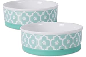 Bone Dry Lattice Collection Pet Bowl & Canister, Medium Set, 6x2", Aqua, 2 Count