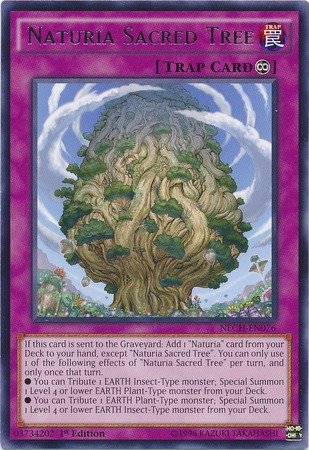 Yu-Gi-Oh! - Naturia Sacred Tree (NECH-EN076) - The New Challengers - 1st Edition - Rare