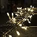 LOENDE Outdoor String Lights Christmas Lights 3AA Battery Operated String Lights 8 Modes 100 LED String Lights for Christmas Tree, Wreath, Party, Patio, Garden, Home, Waterproof, Warm White