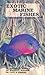 Exotic Marine Fishes by Herbert R. Axelrod, Warren E. Burgess