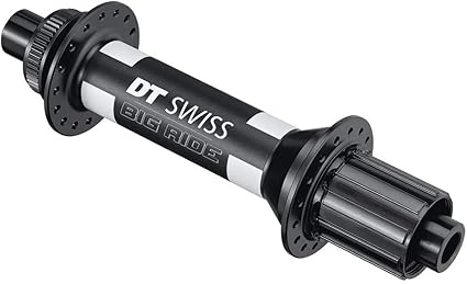 dt swiss 350 big ride