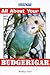 All About Your Budgerigar (All About YourÂ...Series) by 