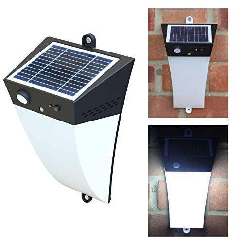 Frostfire Solar Garden Light With Optional Sound Alarm