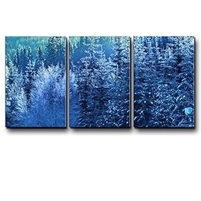 Three Piece Canvas - Blue Frozen Pine Tree Forest During Winter on 3 Panels - Canvas Art Home Art - 16x24 inches