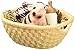 Schleich North America Mini-Pig with Bottle
