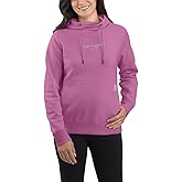 Carhartt Women's 105573 Women's Force® Relaxed Fit Lightweight Graphic