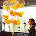 Caryo 24 Inch Clear Foil Helium Balloons Creative Bobo Balloons for Wedding Birthday Party Decorations (2pcs)