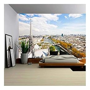 Paris S Skyline from The Top of Notre Dame Cathedral - Removable Wall Mural | Self-Adhesive Large Wallpaper - 66x96 inches