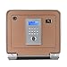 Safes Fireproof Fashion Safe Box for Home Office Double Safety Key Lock and Password 0.8 Cubic Feet by Tigerking