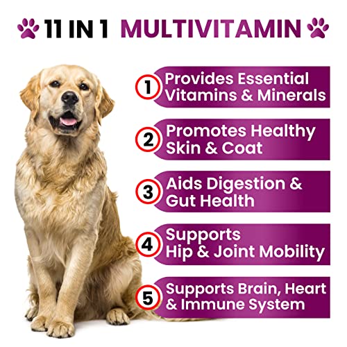 Dog Multivitamin Chewable with Glucosamine Dog Vitamins and