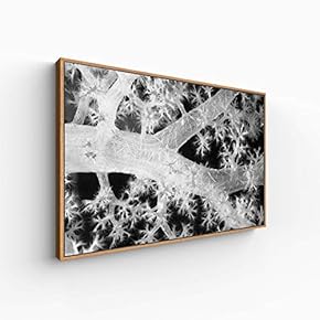 Canvas Wall Art for Living Room, Bedroom Monochrome Plants Framed Canvas Prints for Home Decoration Ready to Hang - 16x24 inches