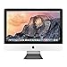 Apple MC978LL/A Intel Core i3-2100 - 3.1GHz, 4GB, 250GB 21.5in Screen,Silver (Renewed)