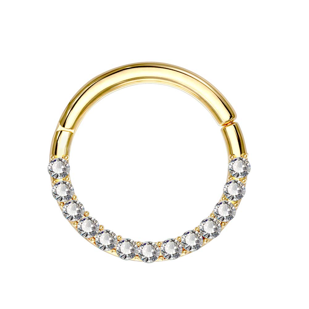 OUFER 16G 14K Solid Gold Hinged Clicker Segment Ring Lip Nose Hoop Helix Daith Tragus Cartilage Earring Septum Ring Gold 10mm