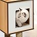 Catit Vesper Cat Tree, Base, Walnut, 52042