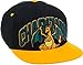 BIOWORLD Pokemon Charizard Snapback Cap