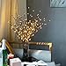 LiyuanQ Branch Lights - Led Branches Battery Powered Decorative Lights Willow Twig Lighted Branch for Home Decoration - 20 Inches 20 LED Lights Warm White (Vase Not Included)