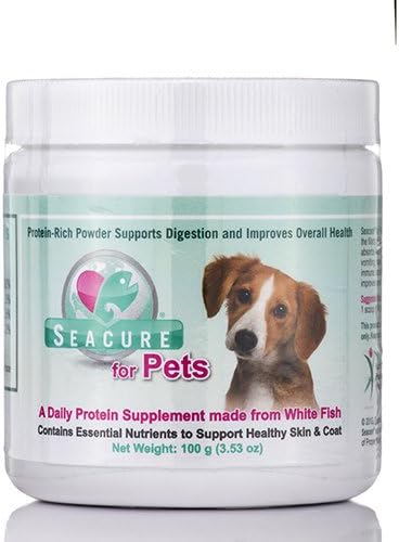 decorative cat food storage containers