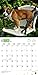 Boxer Puppies 2018 Calendar