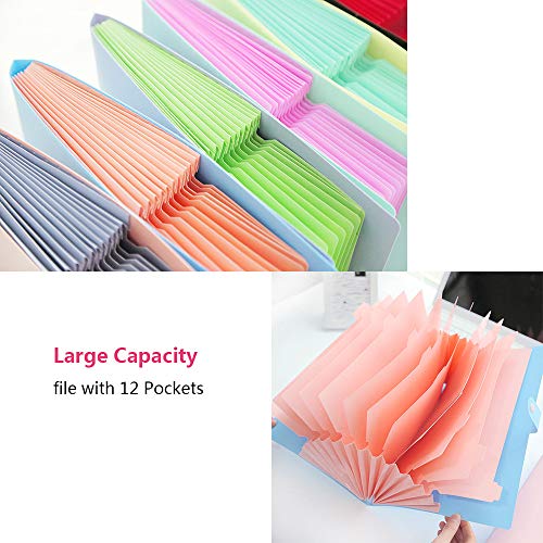 File Folder Organizer 12 Pockets Expanding File Folder with 20 Pcs Labels A4 Paper Letter Size Portable Accordion Document Organizer for Business Office School Home (Blue)