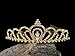 Rivertree Gold Costume princess crown With Comb Pin For Girls & Women Crystal Bridal wedding Tiara