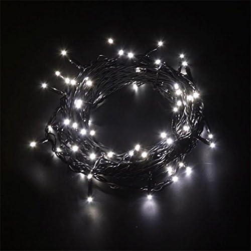 QCLED Usb Powdered 500 LED Farily String indoor and Outdoor Garden Light 50m 165ft(4 Color Choose) (White)