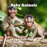Baby Animals 8.5 X 8.5 Calendar September 2019 -December 2020: Monthly Calendar with U.S./UK/ Canadi by Lynne Book Press
