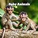 Baby Animals 8.5 X 8.5 Calendar September 2019 -December 2020: Monthly Calendar with U.S./UK/ Canadi by Lynne Book Press