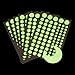 Glow In The Dark Stars Stickers, 504 Adhesive Dots and Moon for Starry Sky, Perfect For Ceiling in Bedroom, Glow Party ,Wall Decals ,by LIDERSTAR .