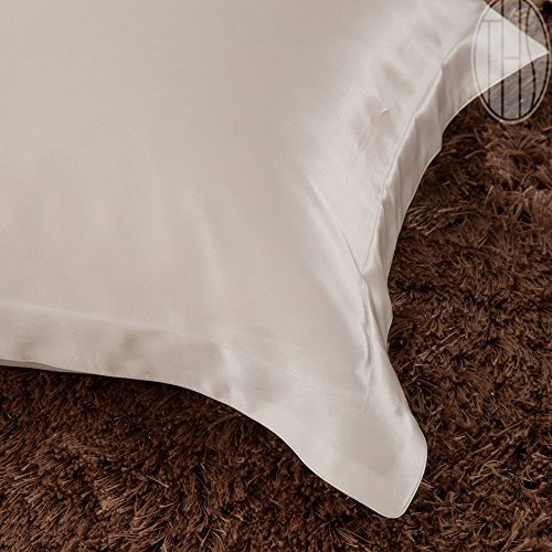 THXSILK 100% 19mm Mulberry Silk Pillowcase Pillow Sham for Hair and Skin (Spalding Gray, Standard)