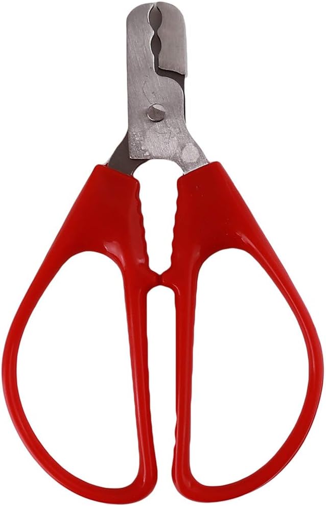 INSEET Mutternzange 1 PC Edelstahl Nut Shell Cracker Sheller Opener