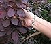 Magnetic Bracelet for Women Silver Finish Natural Pain Relief Therapy by Mind n Body