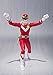TAMASHII NATIONS Bandai S.H. Figuarts Vul Eagle Taiyo Sentai Sun Vulcan Action Figure