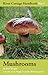 Mushrooms: River Cottage Handbook No.1