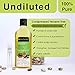 Soulflower Castor Oil -100% Pure Tropical Indian Coldpressed Oil - Boosts Growth for Eyelashes, Eyebrows, Hair 6.77 fl. Oz. Hexane Free with - BONUS portable travel friendly Spray